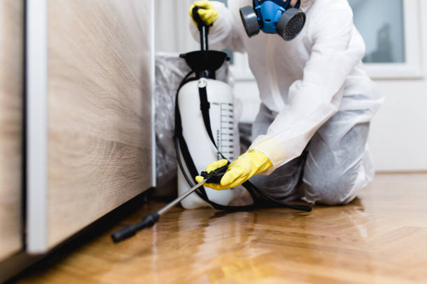 Best Mosquito Control Services  in Port Huron, MI