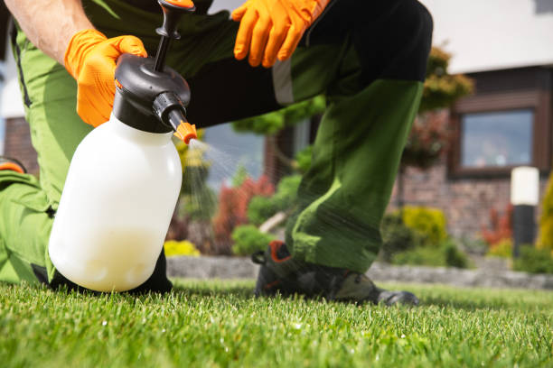 Best Pest Removal Services  in Port Huron, MI