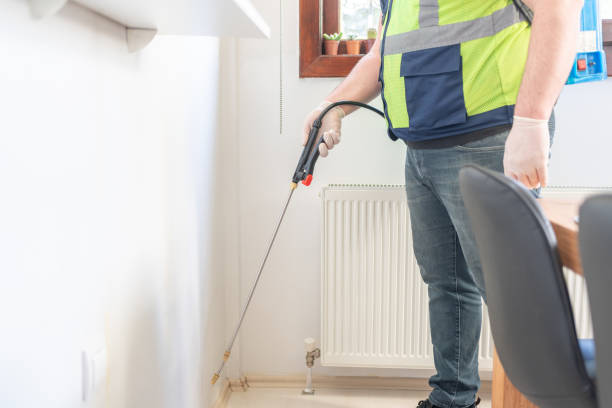 Best Ant Control Services  in Port Huron, MI