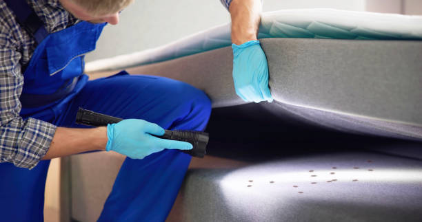 Best Pest Removal Services  in Port Huron, MI