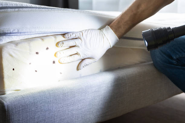 Best Cockroach Control Services  in Port Huron, MI