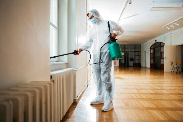 Wasp Removal Services in Port Huron, MI